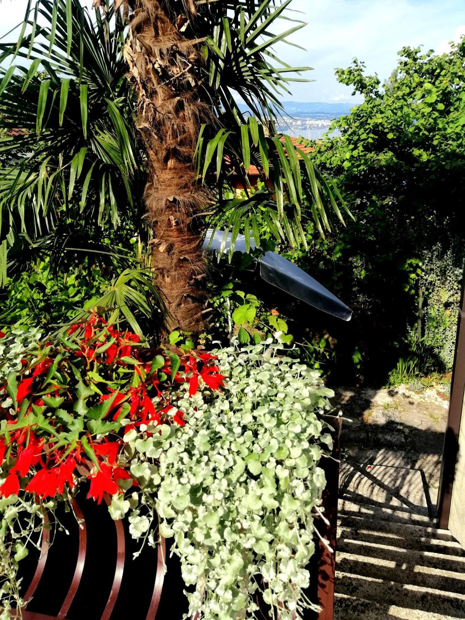 Apartment Sea Garden Ičići Exterior foto